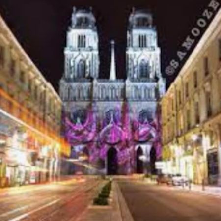 Chaleureux Appart, Proche De La Loire Avec Parking Orléans Exterior photo