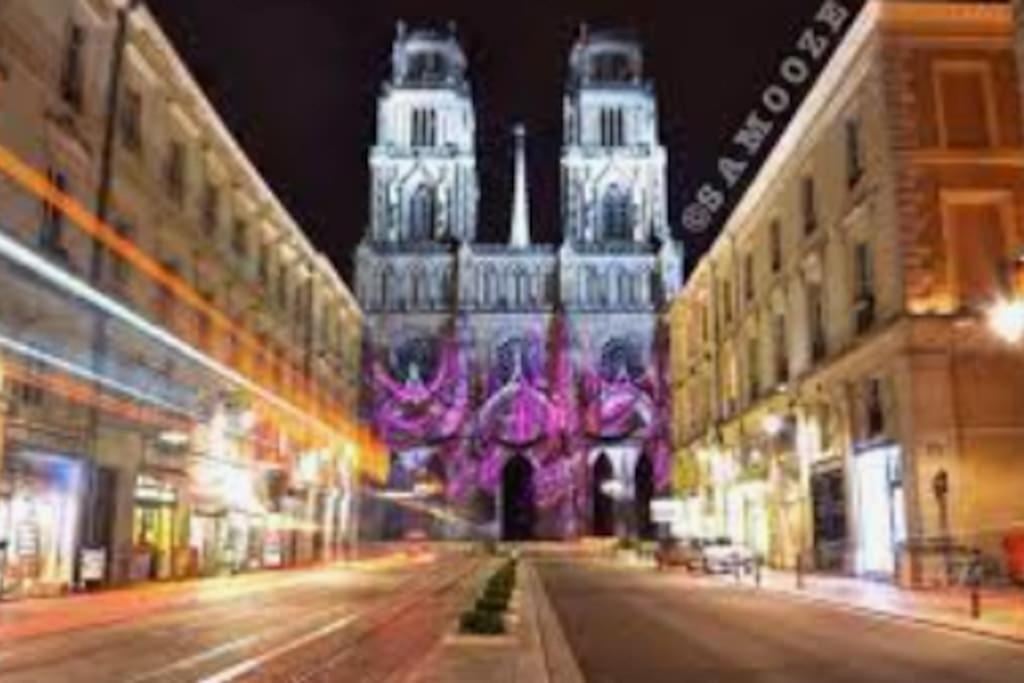 Chaleureux Appart, Proche De La Loire Avec Parking Orléans Exterior photo